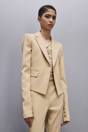 Patrizia Pepe Essential One-button Jacket Beige | FCM025643