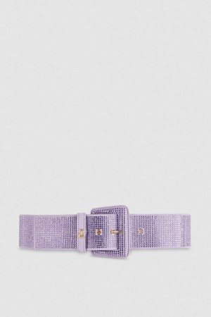 Patrizia Pepe High-waisted Belt With Rhinestones Roze | PFB486123